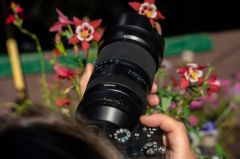 Tamron 50-400mm f/4.5-6.3 Di III VC VXD Lens (Sony E)