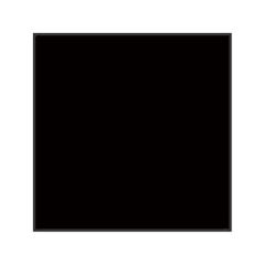 LEE - Filters Big Stopper Glass Filter