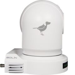 BirdDog Eyes P200 1080p Full NDI PTZ Camera (Black)