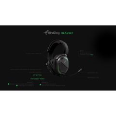 BirdDog Headset