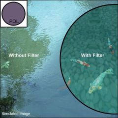 Sigma 77mm WR Coating Circular Polarize Filtre