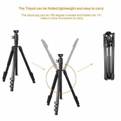 Kingjoy G555+G0 4 Bölmeli Seyahat Tripodu ve Monopod