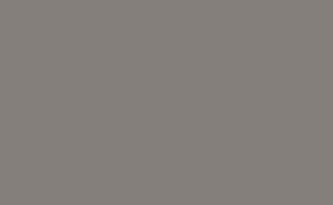 BD Backgrounds 2.72x11m Stüdyo Kağıt Fon (Dove Gray Fon 109)