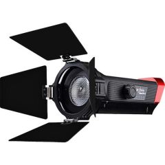 Aputure Light Storm LS-mini20d Daylight LED Light