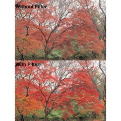 Hoya 77mm (RA 54) Red Enhancer Filtre