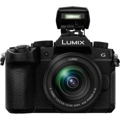Panasonic Lumix G90 + Lumix 12-60mm f/3.5-5.6 Lens (DC-G90MEG-K)
