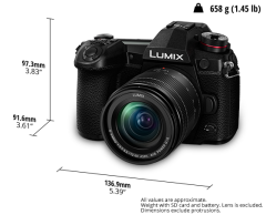 Panasonic Lumix G9 + Lumix 12-60mm F3.5-5.6 Lens