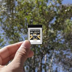 Delkin Devices Black 650GB  4.0 CFexpress Type B Hafıza Kartı