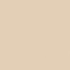 Gdx Kağıt Sonsuz Stüdyo Fon Perde (Egg Nog) 2.70x11 Metre