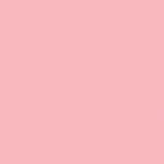Gdx Kağıt Sonsuz Stüdyo Fon Perde (Coral) 2.70x11 Metre