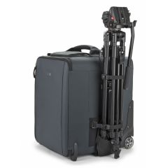 thinktank Video Rig 18