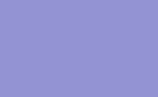 BD Backgrounds 2.72x11m Stüdyo Kağıt Fon (Violet Fon 133)