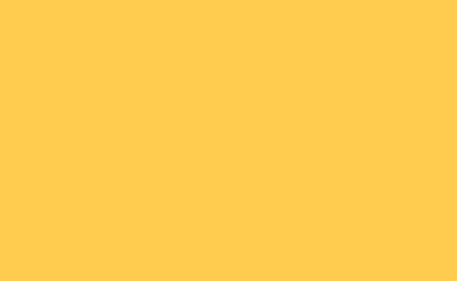 BD Backgrounds 2.72x11m Stüdyo Kağıt Fon (Straw Fon 128)