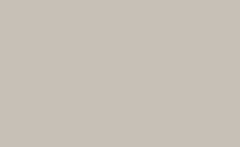 BD Backgrounds 2.72x11m Stüdyo Kağıt Fon (Photographer's Gray Fon 153)