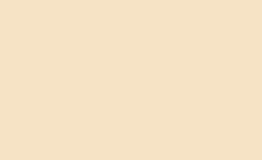 BD Backgrounds 2.72x11m Stüdyo Kağıt Fon (Ivory Fon 155)