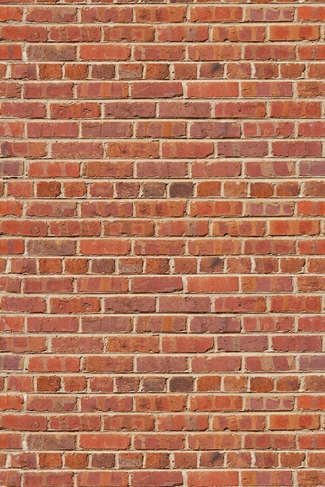 Savage (U.S.A) Stüdyo Fon Red Brick Printed
