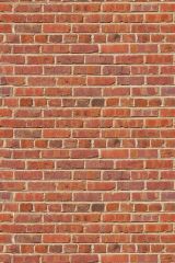 Savage (U.S.A) Stüdyo Fon Red Brick Printed